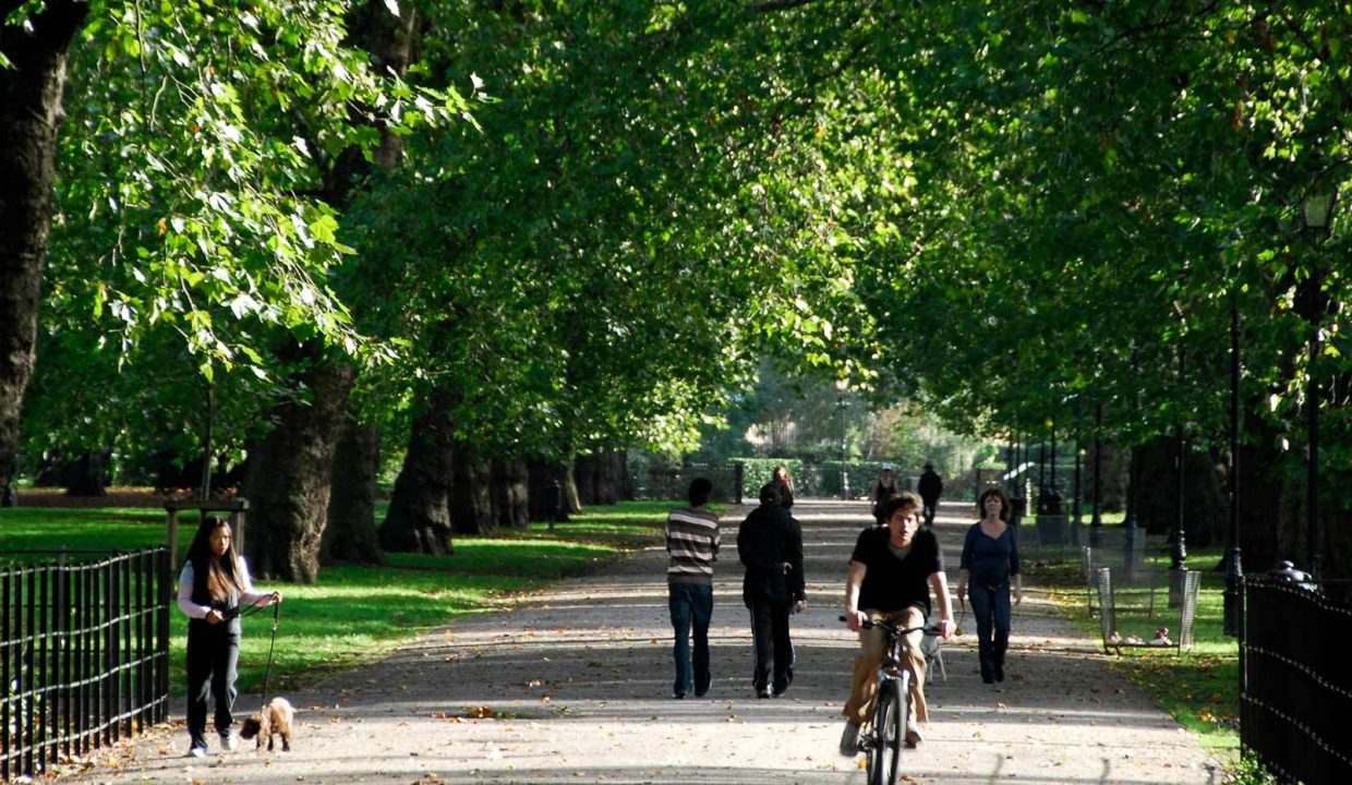 chelsea-bridge-wharf-gallery-local-area-battersea-park3_21032024